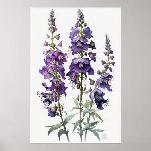 Lila Larkspur Blume Art Print Poster (Vorne)
