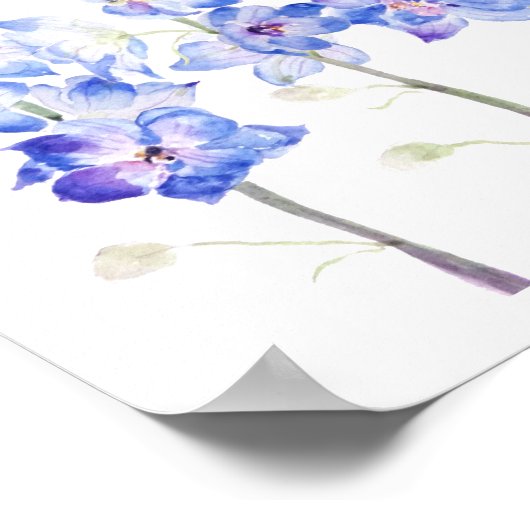 lila Larkspur-Delphinium-Feld Wasserfarbe Poster (Ecke)