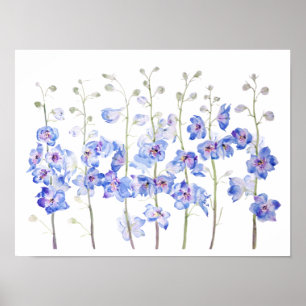 lila Larkspur-Delphinium-Feld Wasserfarbe Poster