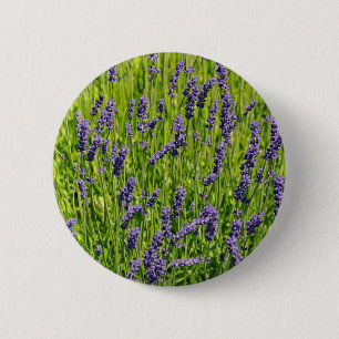Lila Lavendel-Blume Button