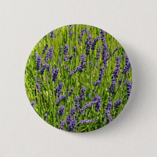 Lila Lavendel-Blume Button (Vorderseite)