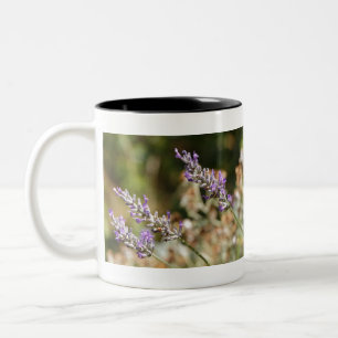 Lila Lavendel-Blume im Garten im Sommer Zweifarbige Tasse