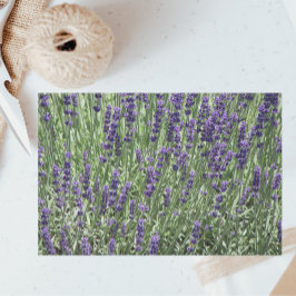 Lila Lavendel-Felder floral Seidenpapier