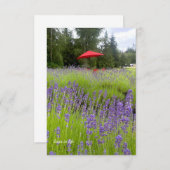 Lila Lavendel, Roter Schirm Mitteilungskarte (Vorne/Hinten)