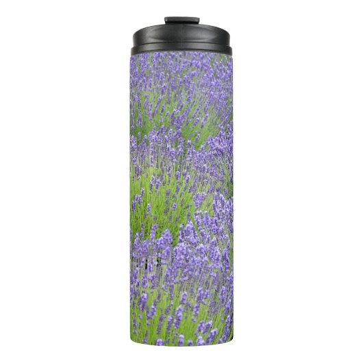 Lila Lavendel Thermosbecher (Vorderseite)