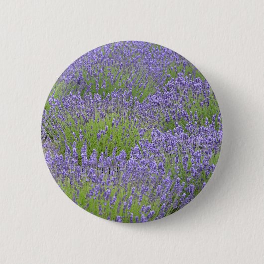 Lila Lavendelblumengarten Button (Vorderseite)