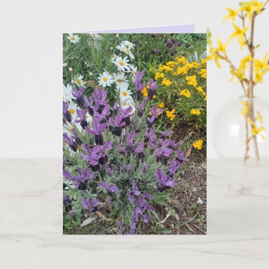 Lila Lavender & Daisy Blume Blumengrüße Karte (Gelbe Blume)