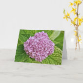 Lila Lavender Hydrangea-Puff-Karte Karte (Gelbe Blume)