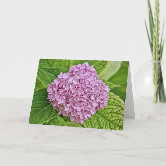 Lila Lavender Hydrangea-Puff-Karte Karte (Vorderseite)