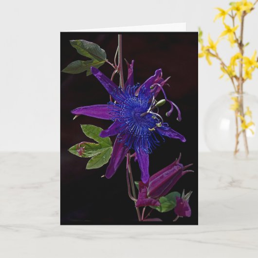 Lila Leidenschaft Karte (Gelbe Blume)