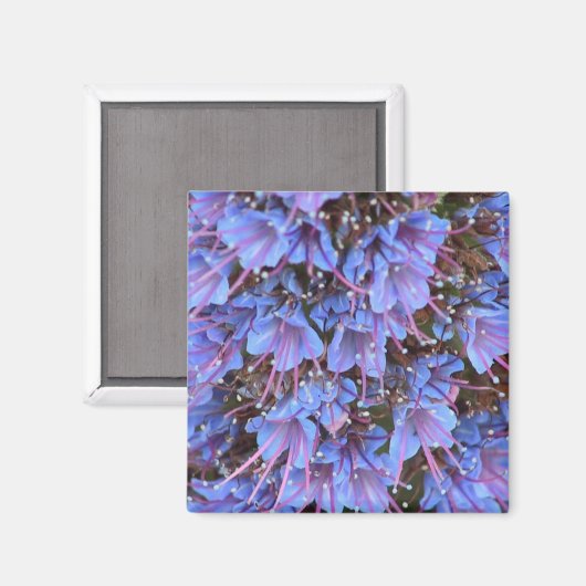 Lila Leidenschaft Magnet (Vorderseite/Rückseite)