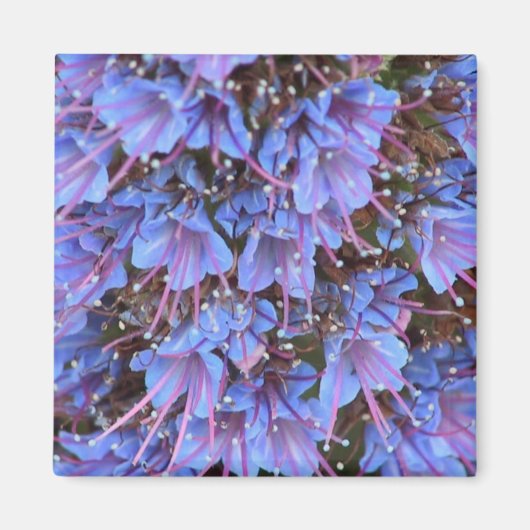 Lila Leidenschaft Magnet (Vorne)