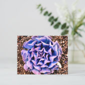 Lila Leidenschaft Postkarte (Stehend Vorderseite)