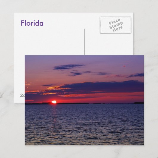 Lila Leidenschaft Postkarte (Vorne/Hinten)