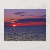 Lila Leidenschaft Postkarte (Vorderseite)