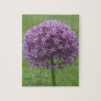 Lila Leidenschaft Puzzle