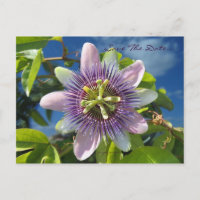 Lila Leidenschaft Save the Date Postkarte