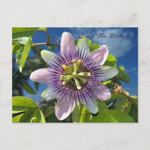 Lila Leidenschaft Save the Date Postkarte