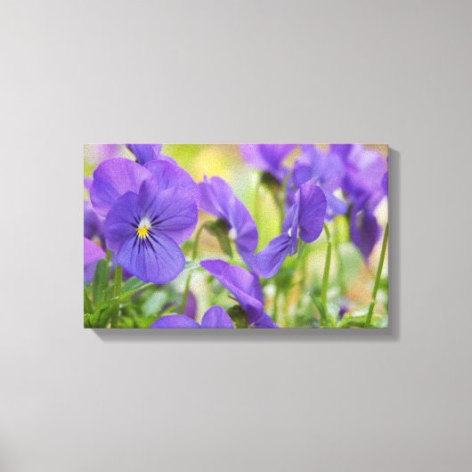 Lila Leinwand Pansy Art (Vorderseite)