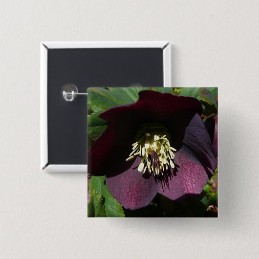 Lila Lenten Rose Ostern Blume Button (Vorne & Hinten)