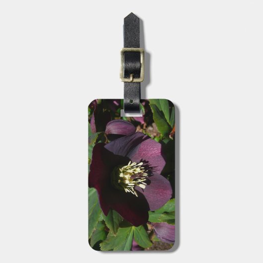 Lila Lenten Rose Ostern Blume Gepäckanhänger (Vorderseite vertikal)