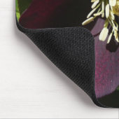 Lila Lenten Rose Ostern Blume Mousepad (Ecke)