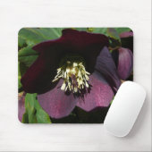 Lila Lenten Rose Ostern Blume Mousepad (Mit Mouse)