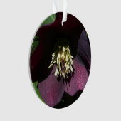 Lila Lenten Rose Ostern Blume Ornament (Vorderseite)