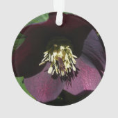Lila Lenten Rose Ostern Blume Ornament (Rückseite)