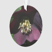 Lila Lenten Rose Ostern Blume Ornament (Vorderseite)