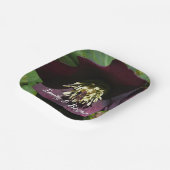 Lila Lenten Rose Ostern Blume Pappteller (Gewinkelt)