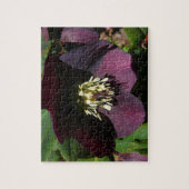 Lila Lenten Rose Ostern Blume Puzzle (Vertikal)