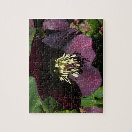 Lila Lenten Rose Ostern Blume Puzzle (Vertikal)