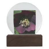 Lila Lenten Rose Ostern Blume Schneekugel (Rückseite)