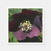 Lila Lenten Rose Ostern Blume Serviette (Vorderseite)