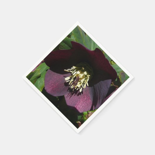 Lila Lenten Rose Ostern Blume Serviette (Ecke)