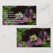 Lila Lenten Rose Ostern Blume Visitenkarte (Vorne/Hinten)