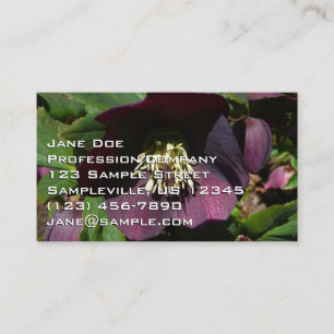 Lila Lenten Rose Ostern Blume Visitenkarte