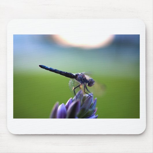 Lila Libelle Mousepad (Vorne)