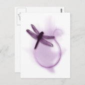 Lila Libelle Postkarte (Vorne/Hinten)
