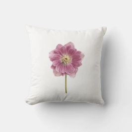 Lila Liege Blume Kissen