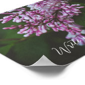 Lila lila Blume nach Regen Poster (Ecke)