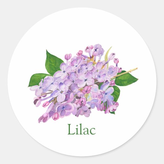 Lila lila botanische Aquarellfarbe Runder Aufkleber (Vorderseite)