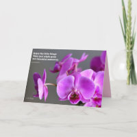 Lila lila malvenfarbene Orchidee, inspirational