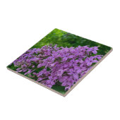 Lila Lila romantisches lila Foto Fliese (Seite)