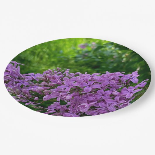 Lila Lila romantisches lila Foto Pappteller (Schrägansicht)