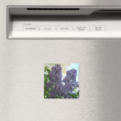 Lila Lilac 8 Magnet (In Situ (Geschirrspüler))