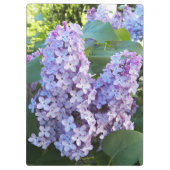 Lila Lilac Blooms Floral Klemmbrett (Rückseite)