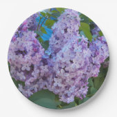 Lila Lilac Blooms Floral Pappteller (Vorderseite)