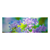 Lila Lilac-Blume Fotodruck (Vorne)